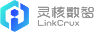 灵核数智 LinkCrux